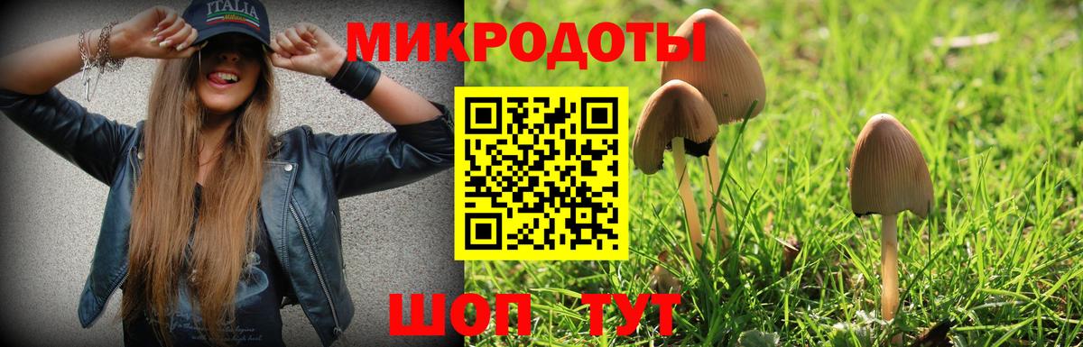 Галлюциногенные грибы мицелий Борзя
